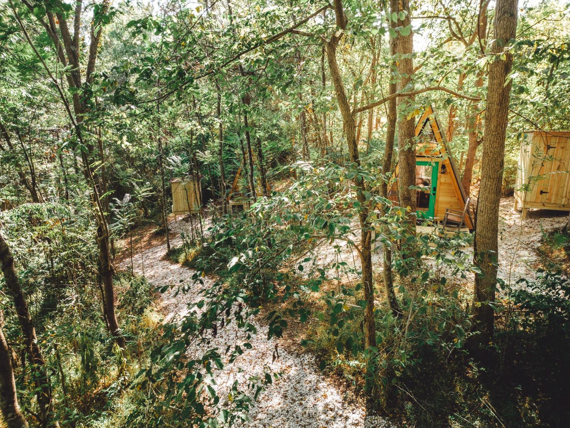Blue Brambler Glamping A-Frame Apartment Rockbridge Exterior photo